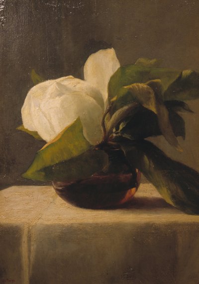 Magnolia by John La Farge or Lafarge